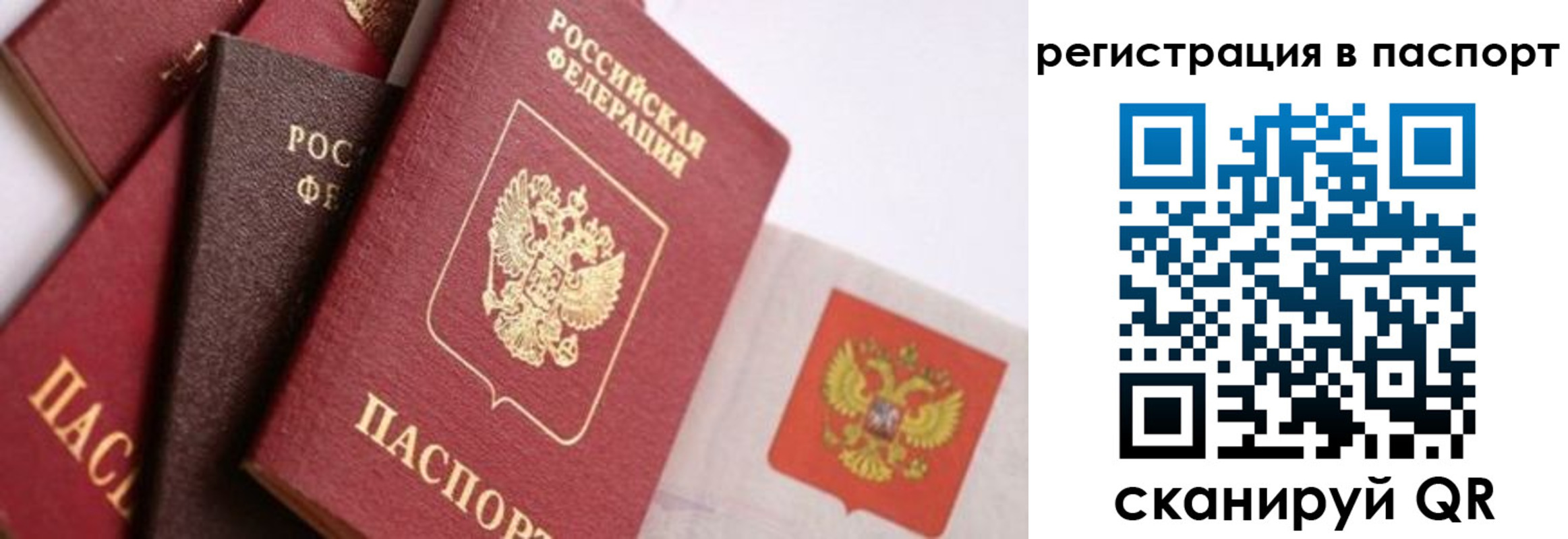 прописка в квартире в Голицыно